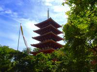 西国二十八番札所 成相寺